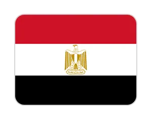 FLAGS_EGP_bc3aff8ec1