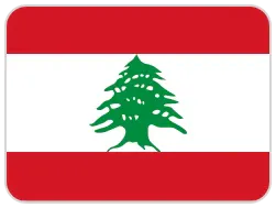 FLAGS_LEB_ca994081ed