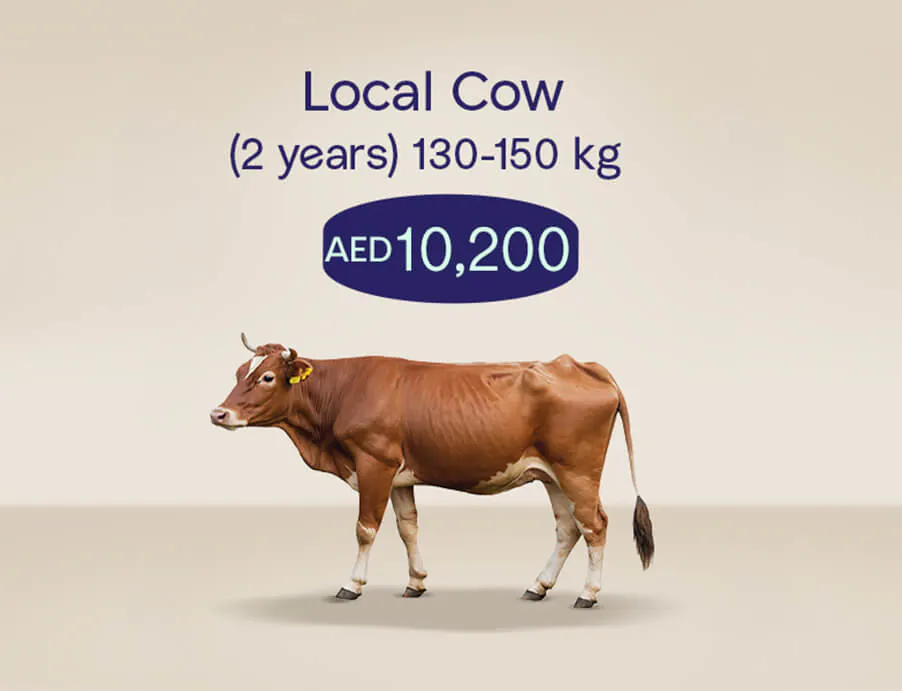 Udhiya_Website_tile_902x691_localcow_1_2ffda5c45b