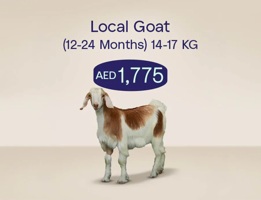 Udhiya_Website_tile_902x691_localgoat_1_410d0996c8